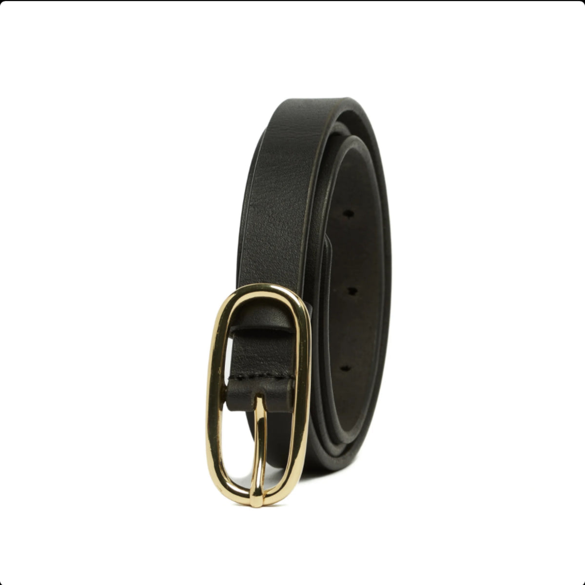Rugged Hide - Ladies Belt